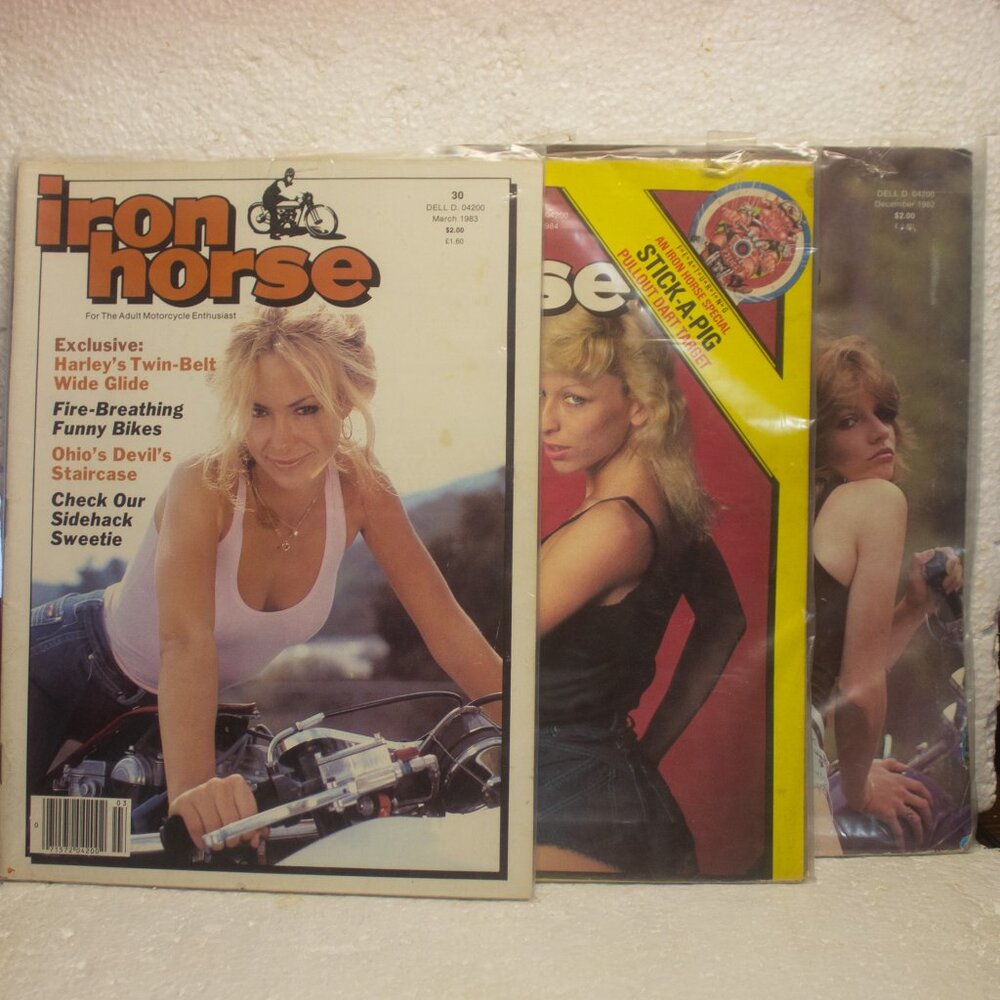 Vintage 1980's Three Iron Horse For the Adult Motorcycle Enthusiast
